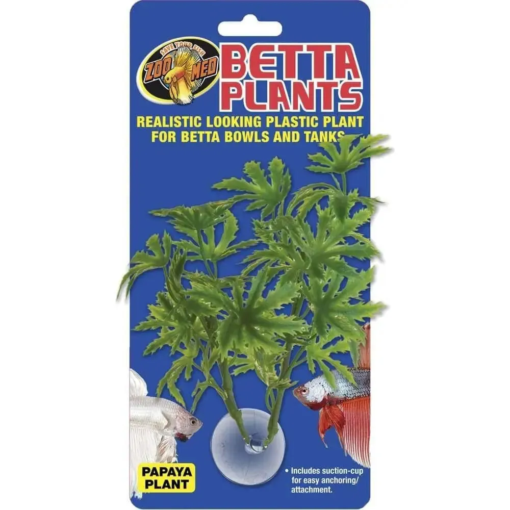 Betta Plastic Plant Papaya