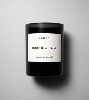 Burning Rose