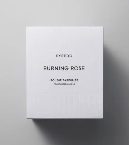 Burning Rose